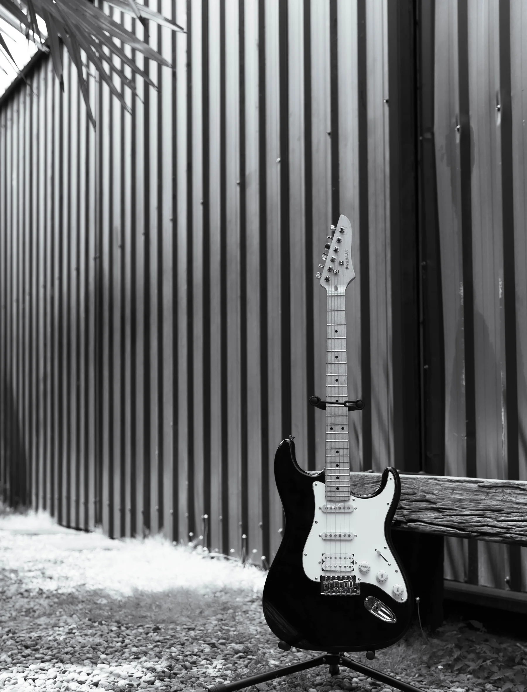OVERLAY guitar in monochrome setting